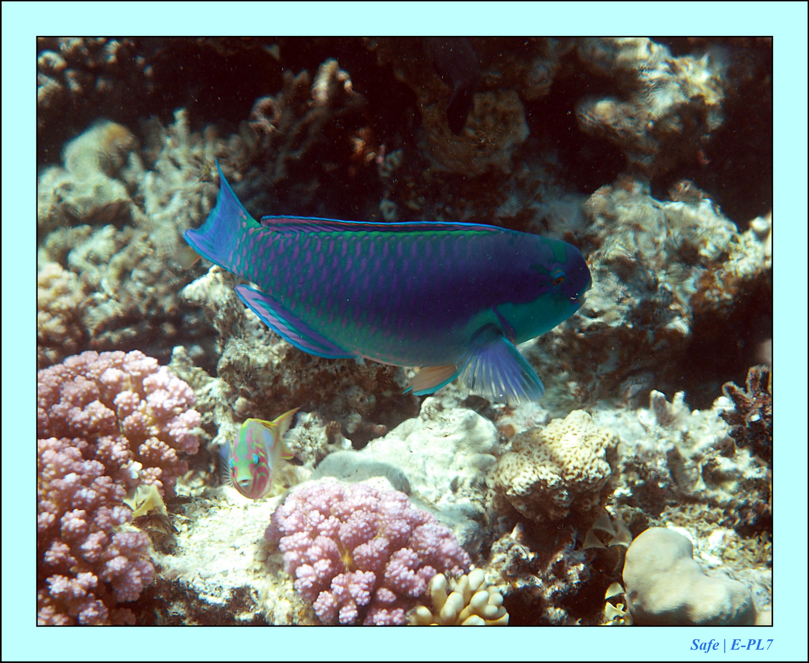 Hurghada - Juillet 2021 - 040